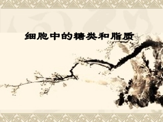 细胞中的糖类和脂质-2