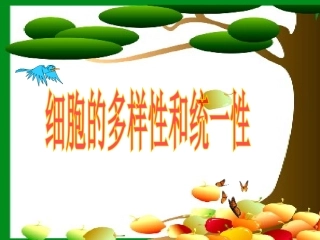 细胞的多样性和统一性上课