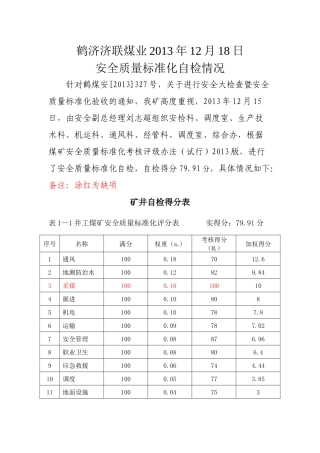 煤业安全质量标准化自检情况