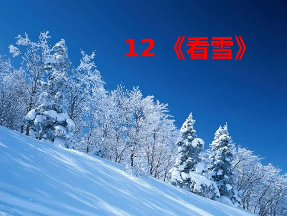 小学二年级语文上册12_看雪_第3页