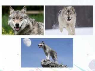 七、像山那样思考