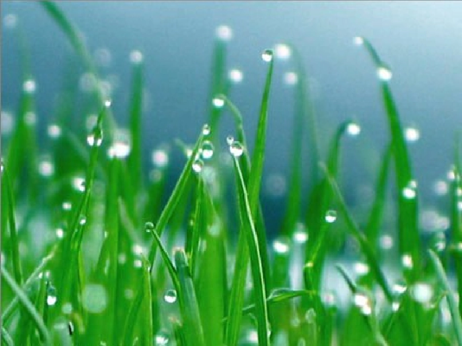 苏教版四年级_雾凇第一课时[1]_第3页