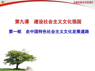 第一框走中国特色社会主义文化发展道路