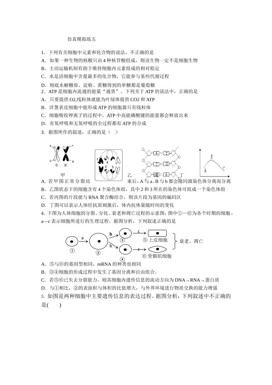 仿真模拟练五_第1页