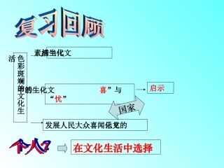 人教版必修3第八课第二框在文化生活中选择（共51张PPT）