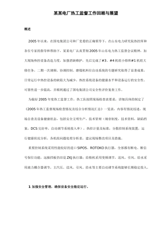 某某电厂热工监督工作回顾与展望