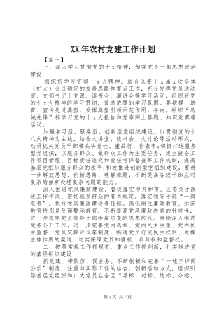 XX年农村党建工作计划 