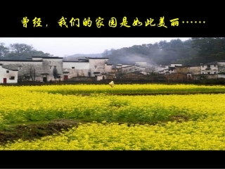 战争·家园——《一个中国孩子的呼声》引入