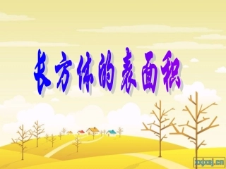 长方体的表面积[1]