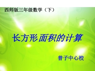 长方形面积的计算