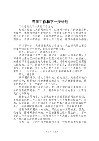 当前工作和下一步计划 
