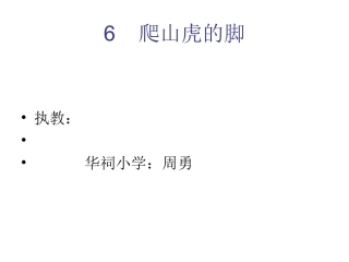 爬山虎的脚03_50957