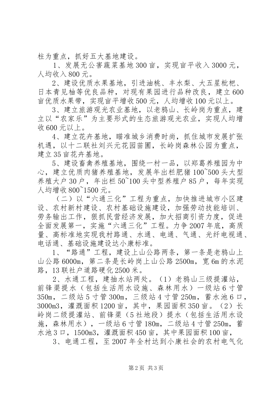 XX村全面建设小康社会发展规划工作计划 _第2页