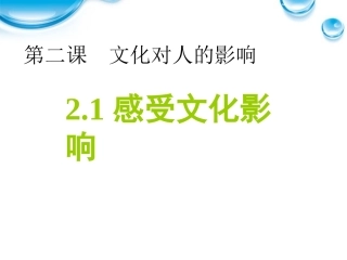 感受文化的影响3