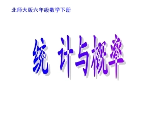 北师大版六年级数学《统计》