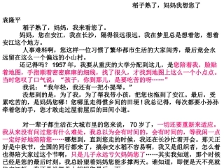 稻子熟了，妈妈我想您了