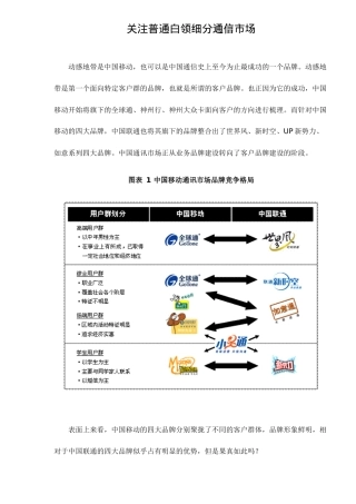 关注普通白领细分通信市场doc10(1)