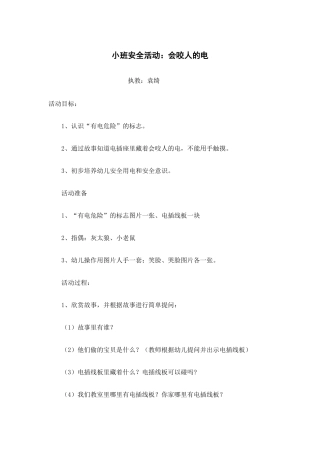 小班安全活动《会咬人的电》教学设计