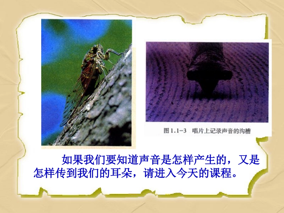 声音的产生与传播 (5)_第3页