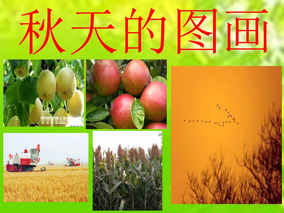 秋天的图画2课件_第2页