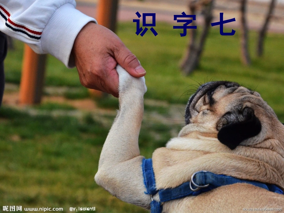 人教版二年级上册识字7·课件_第1页