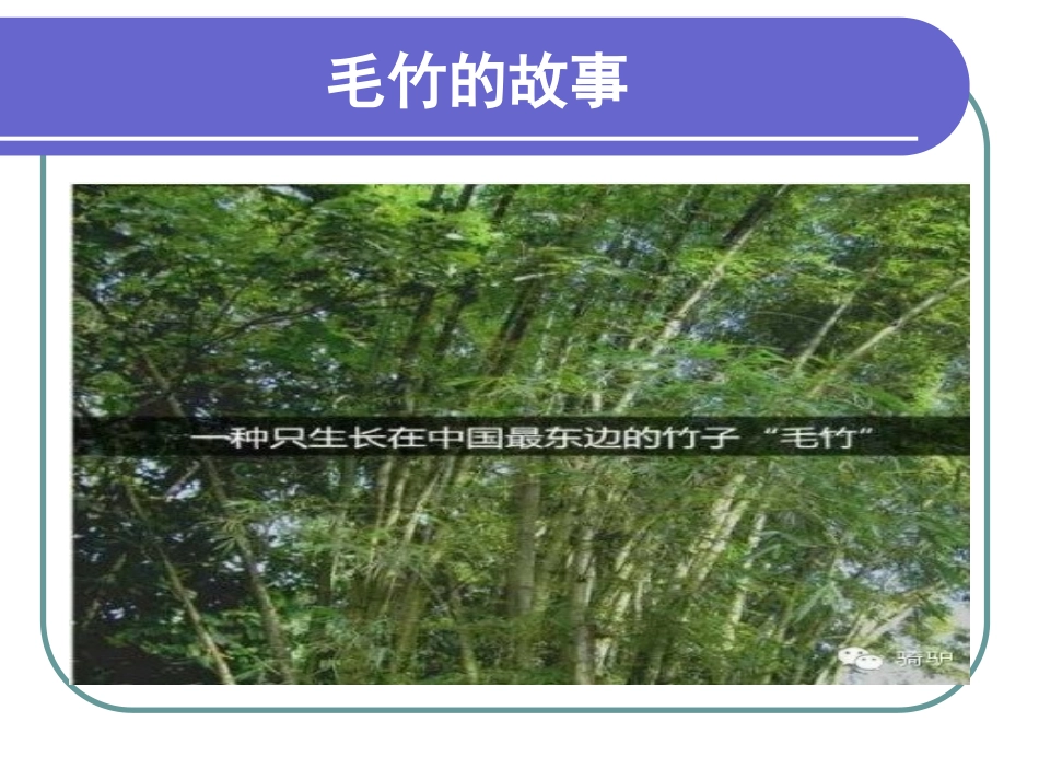 多少人，没熬过那三厘米_第2页