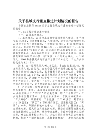 关于县域支行重点推进计划情况的报告 