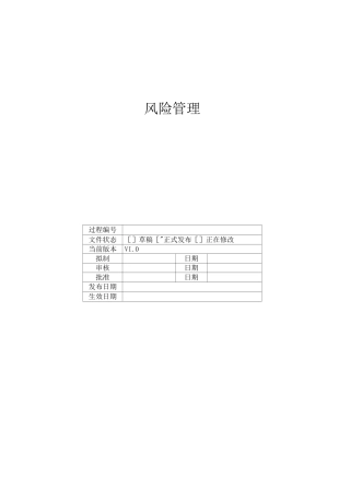 项目-风险管理过程