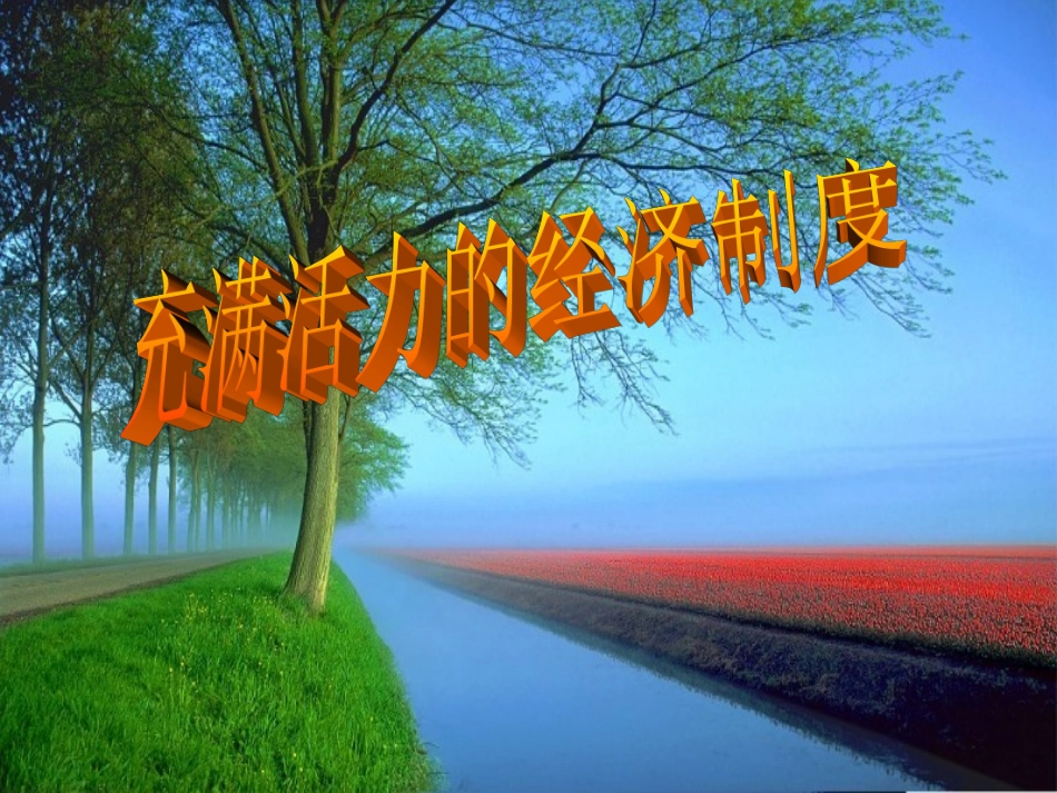 八年级下册第一单元第二节第一课时《充满活力的经济制度》课件（湘师版八年级下）_第1页