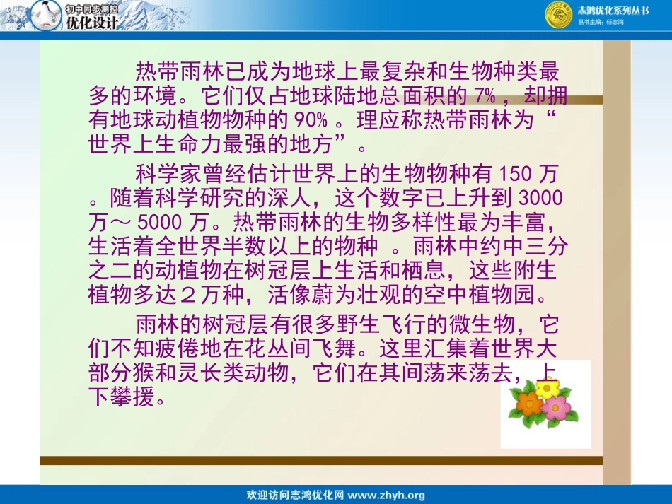 雨林的毁灭课件_第2页