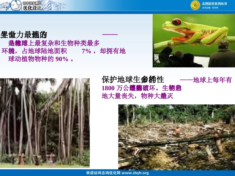 雨林的毁灭课件_第3页