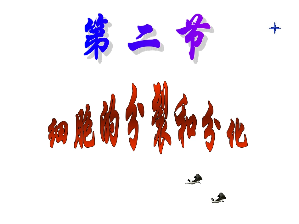 细胞的分裂和分化_第2页