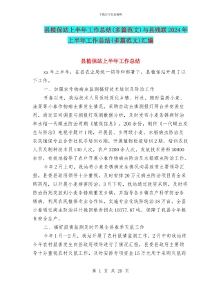 县植保站上半年工作总结与县残联2024年上半年工作总结(多篇范文)汇编