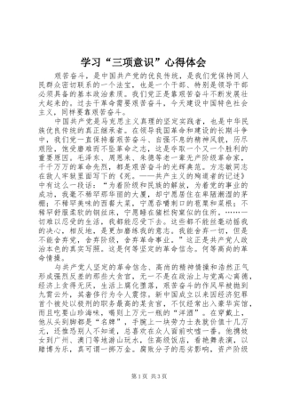 学习“三项意识”心得体会
