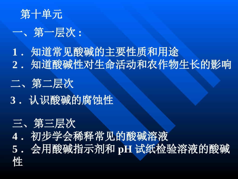 中考化学总复习（十～十二单元_第2页