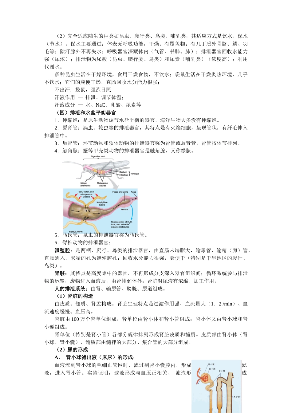 高中生物奥林匹克竞赛辅导专题讲座_专题十四_内环境的控制_第3页