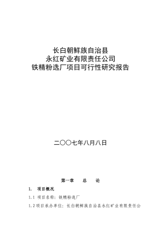 永红矿业有限责任公司可研报告