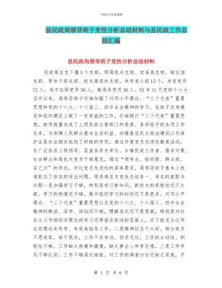 县民政局领导班子党性分析总结材料与县民政工作总结汇编