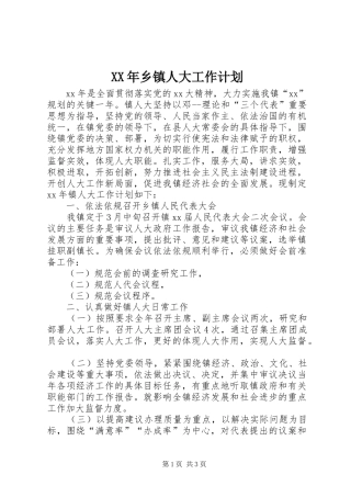 XX年乡镇人大工作计划 