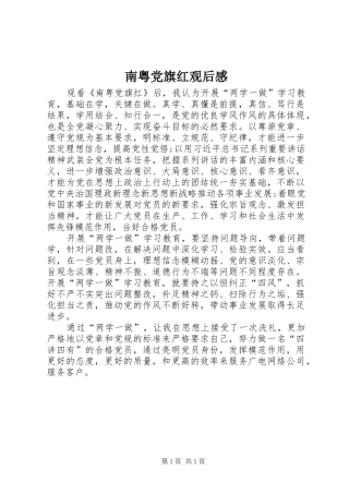 南粤党旗红观后感