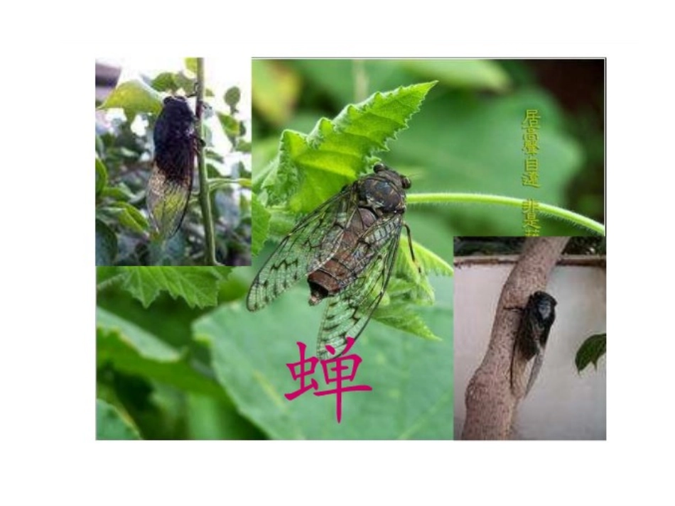 三上古诗所见_第3页