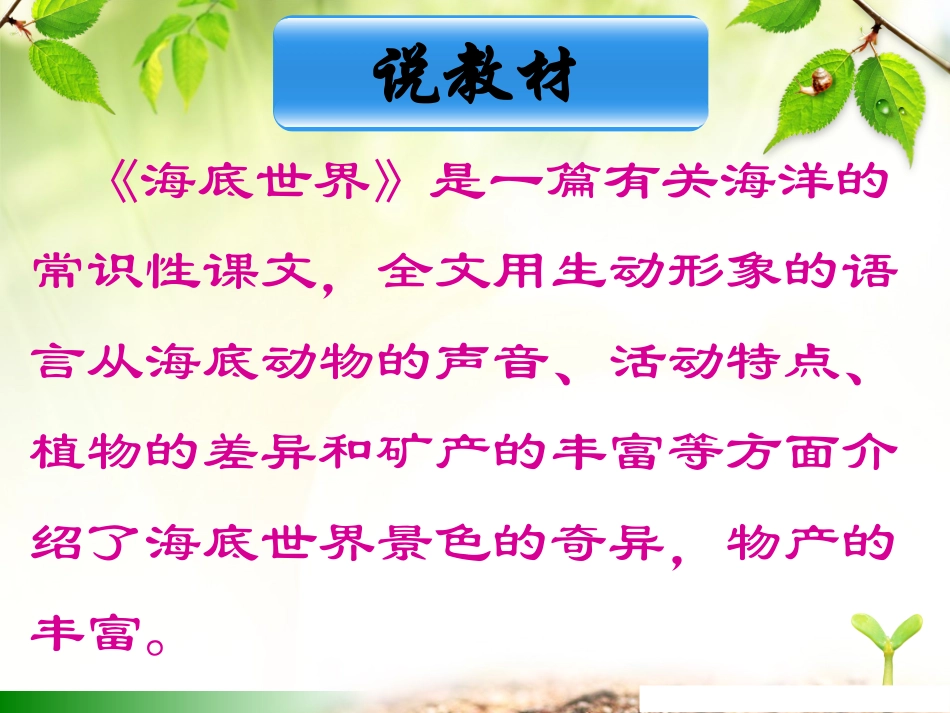 《海底世界》说课_第3页