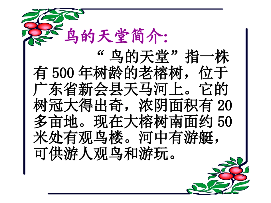 鸟的天堂张燕_第3页