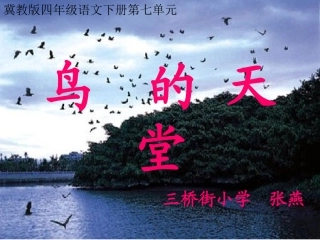鸟的天堂张燕