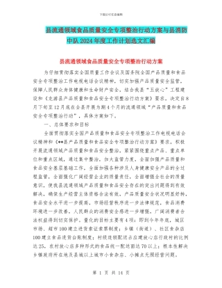 县流通领域食品质量安全专项整治行动方案与县消防中队2024年度工作计划选文汇编