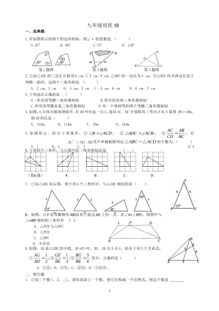 九年级上培优试卷18