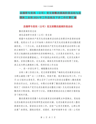 县烟草专卖局党支部整改提高阶段总结与县煤炭工业局2024年工作总结及下步工作打算汇编