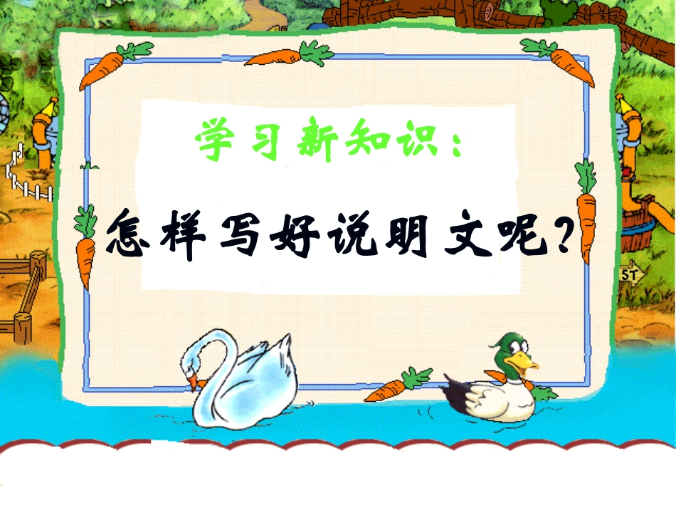 写简单的说明文_第3页