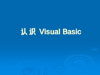 认识_Visual_Basic课件