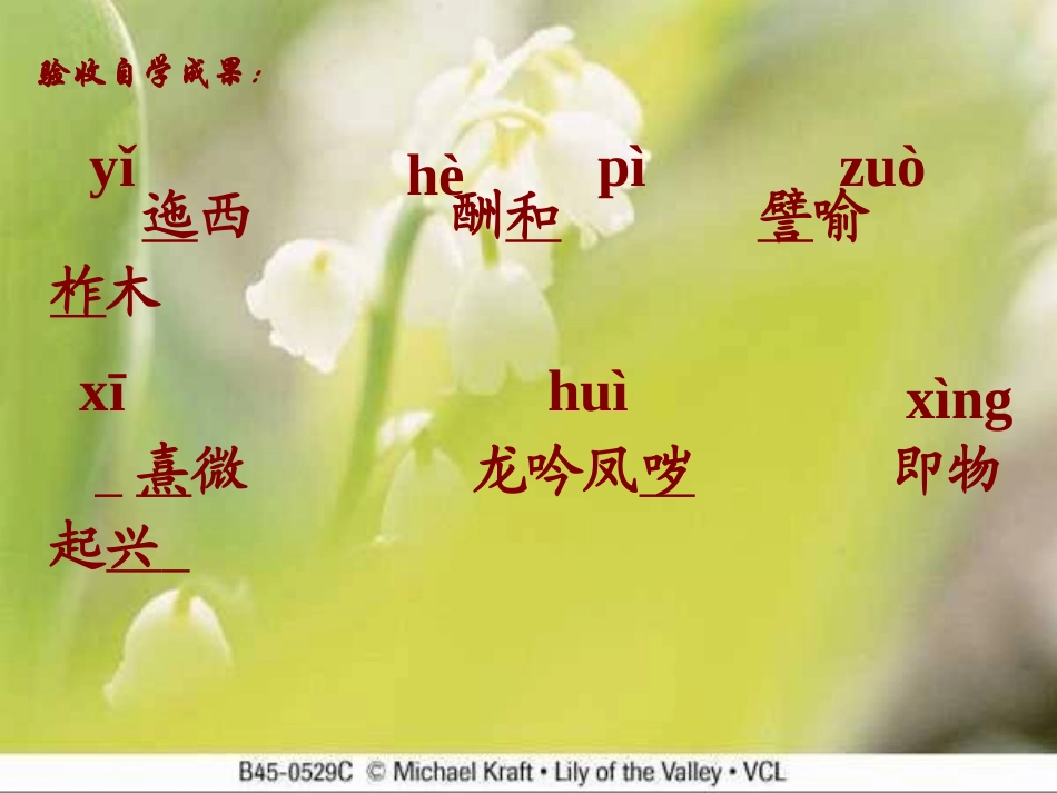 《云南的歌会》 (2)_第3页